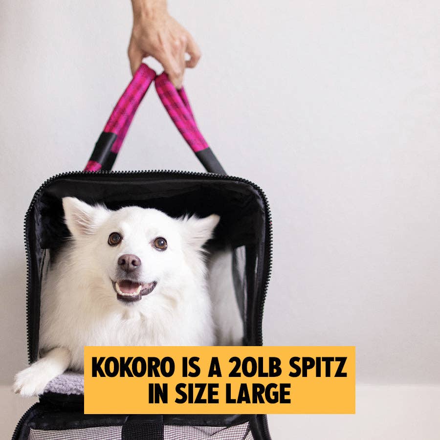ROVERLUND - OUT-OF-OFFICE PET CARRIER PRO EDITION: BLACK CAMO / BLACK / LARGE - UP TO 25LBS